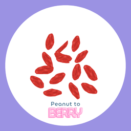 Dried Goji Berry 5 g.