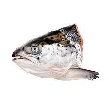 หัวปลาแซลมอนแช่แข็ง