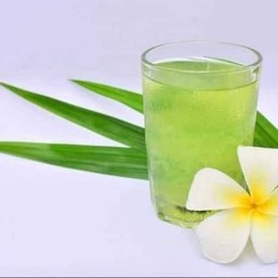 น้ำใบเตย