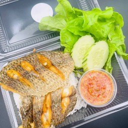 ข้าวปลานิลแกะทอด+น้ำจิ้มซีฟู้ด