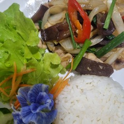 ข้าว ไก่ผัดขิง