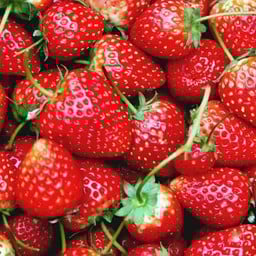 สตอเบอรี่สด 4 ลูก