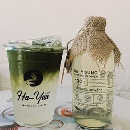 มัจฉะน้ำช่อดอกมะพร้าว