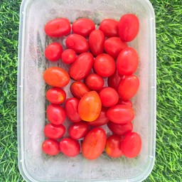 มะเขือเทศ ราชินี