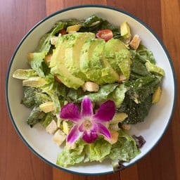 AVOCADO SALAD