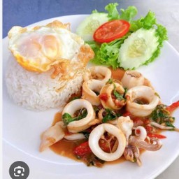 กะเพราปลาหมึก