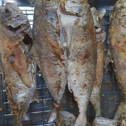 ปลาสำลีทอด