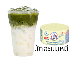 มัทฉะนมหมี