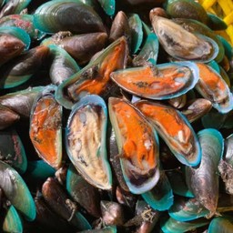 หอยแมลงภู่