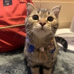 สงเคราะห์หลาม สุดหล่อ