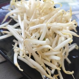 ถั่วงอกลวก