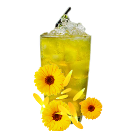 น้ำเก๊กฮวย