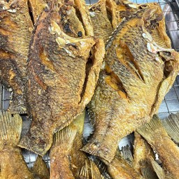 ปลานิลทอด