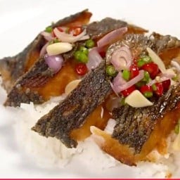 ข้าวปลาแกะเริ่มต้น50บาท สาขาสี่หลังวัดพนมยงค์