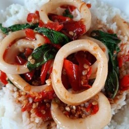 ข้าวกระเพราปลาหมึก