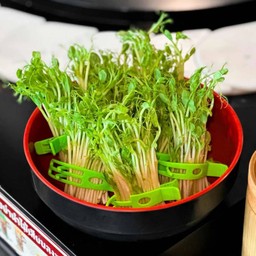 โต้วเหมียว