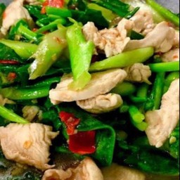 ผัดคะน้าไก่ราดข้าว