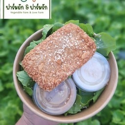 สลัดผัก ปลาทิพย์