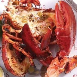 Live Lobster Grilled or Steam (600g.)