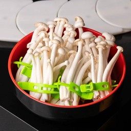 เห็ดชิเมจิขาว