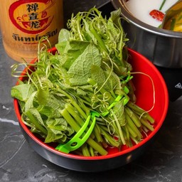 ยอดมะระหวาน