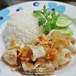 ปลาหมึกทอดกระเทียม ราดข้าว