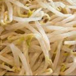 ถั่วงอกลวก