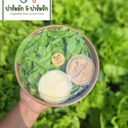 สลัดผักสุขภาพ