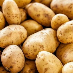 มันฝรั่ง