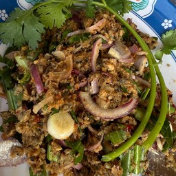 ลาบปลาดุก