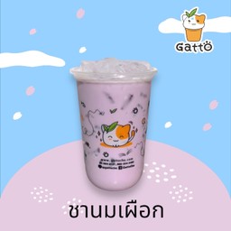 ชานมเผือก
