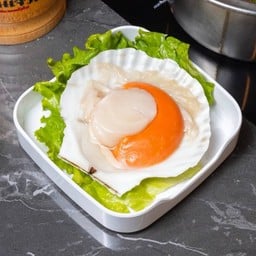 หอยเชลล์ยักษ์