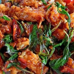 ผัดกระเพราไก่กรอบ(กับข้าว)