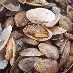 ผัดหอยลาย