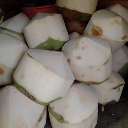มะพร้าวปั่นนมสด