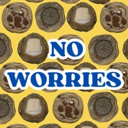 No Worries ( โนวอร์รี่ส์ ) คลองสาม พฤกษาดี