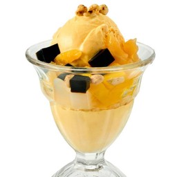 ไอศกรีม วนิลา
