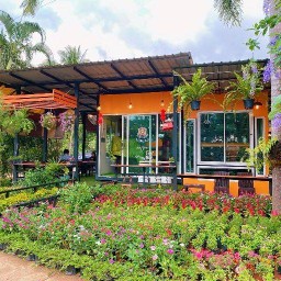 บินหลา Coffee Chumphon