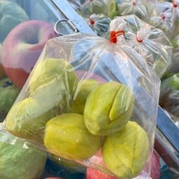 มะกอกน้ำ