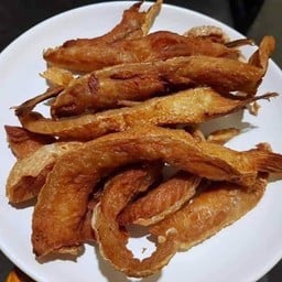 ครีบท้องม่อนแดดเดียว