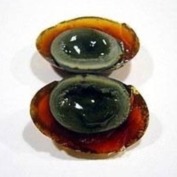 ไข่เยี่ยวม้า1ฟอง