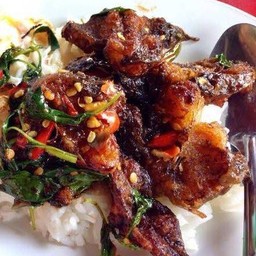 กะเพราปลาดุกกรอบราดข้าว