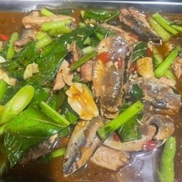 ผัดปลากระป๋อง