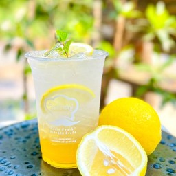 Lemon Honey Soda