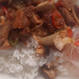 ผัดเผ็ดหมูป่า