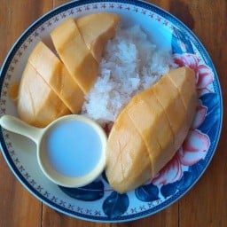 แตนข้าวต้มปลาทะเล