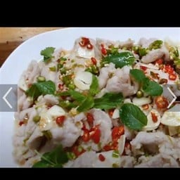 อาหารป่า ตามสั่ง ต้นไทร