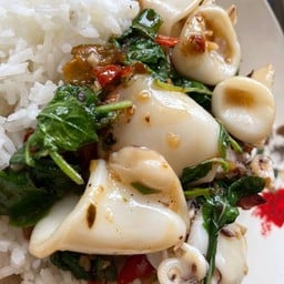 ข้าวราดกะเพราหมึก