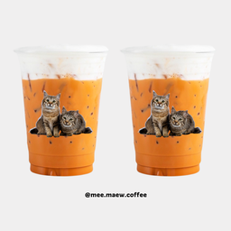 เซ็ตคู่ ชาไทย