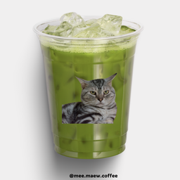 GREEN TEA ชาเขียว